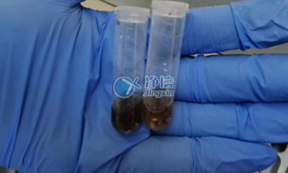 上海凈信高通量研磨儀能否助力蟲媒病毒研究實(shí)驗(yàn)？