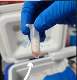 12 實驗案例底圖.jpg